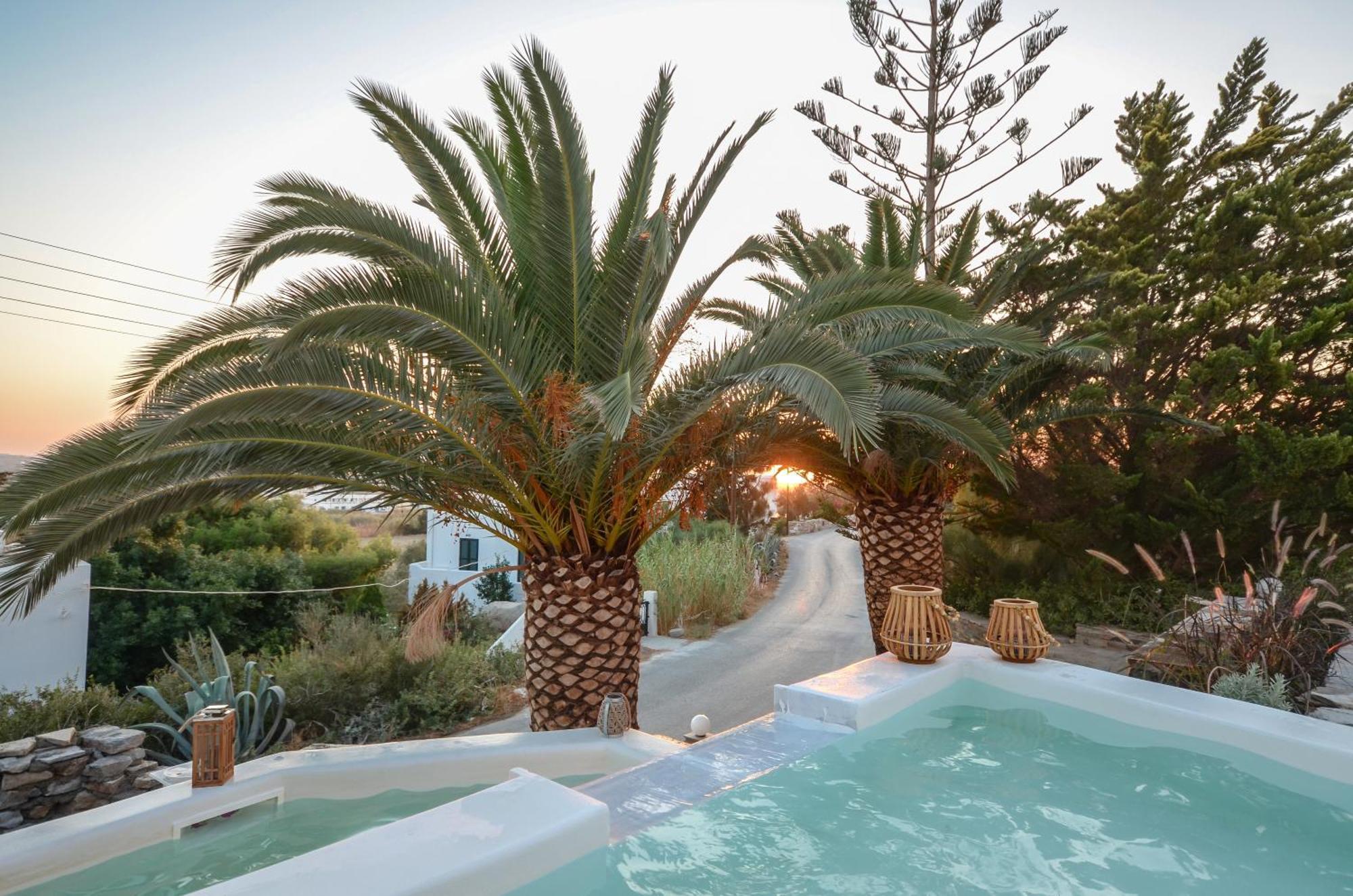 Flora'S Villa With Plunge Pool Agkidia Екстер'єр фото